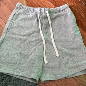 Grey Pacsun Volley Shorts